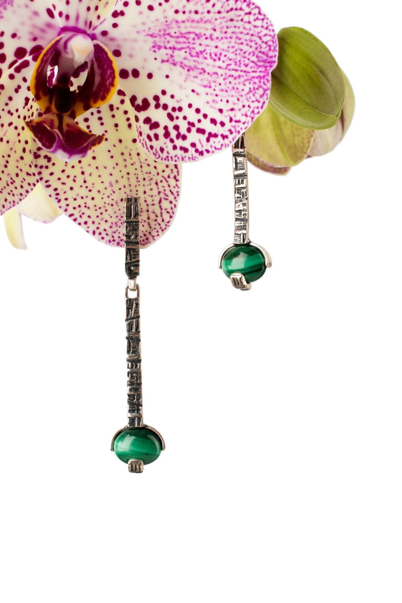 Subscribe to Our Newsletter