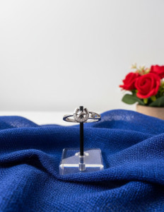 925 Silver Everyday Elegance Ring